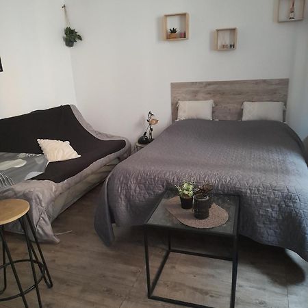 Studio Cosy Proche Centre Mpl/ Pk Gratuit Montpellier Ngoại thất bức ảnh