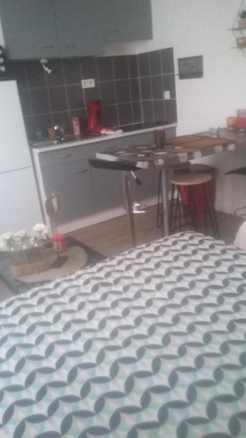 Studio Cosy Proche Centre Mpl/ Pk Gratuit Montpellier Ngoại thất bức ảnh